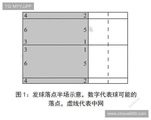 上海羽毛球队技术表现分析与提升策略探讨