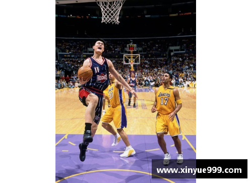 NBA篮球巨人：探寻比姚明更高的球员