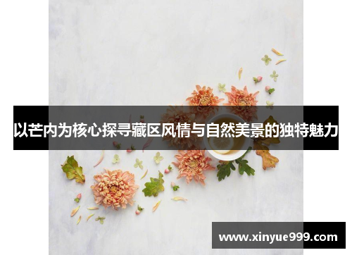 以芒内为核心探寻藏区风情与自然美景的独特魅力